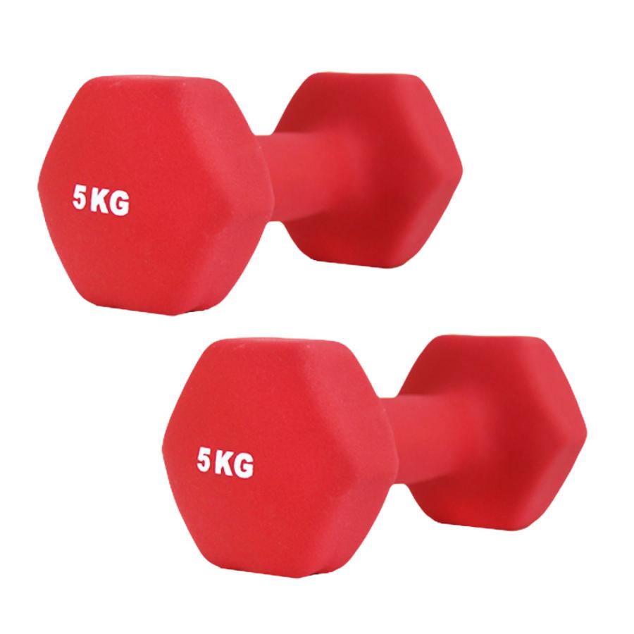 ダンベル 5kg 2個セット カラーダンベル 筋トレ メンズ レディース