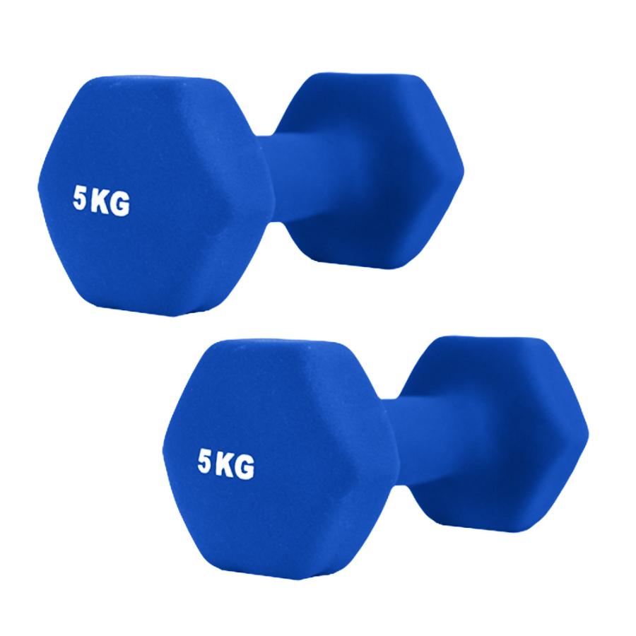 ダンベル 5kg 2個セット カラーダンベル 筋トレ メンズ レディース