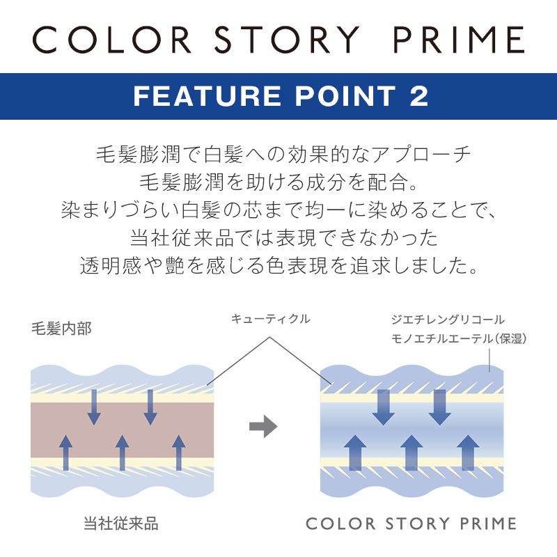 カラーストーリー アリミノ プライム クイックタイプ 1剤 90g クール