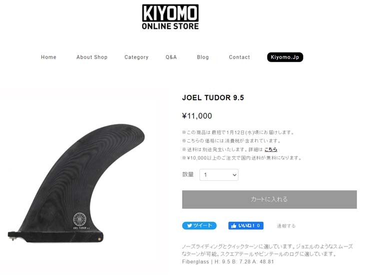 CAPTAIN FIN（キャプテンフィン） フィン JOEL TUDOR Pivot 9.5