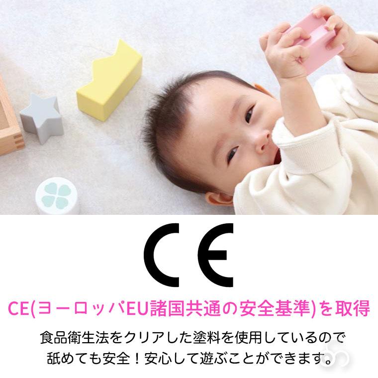 正規品)TAG 注意力と動きの予測をさせるトラッカー TGSR3 知育玩具