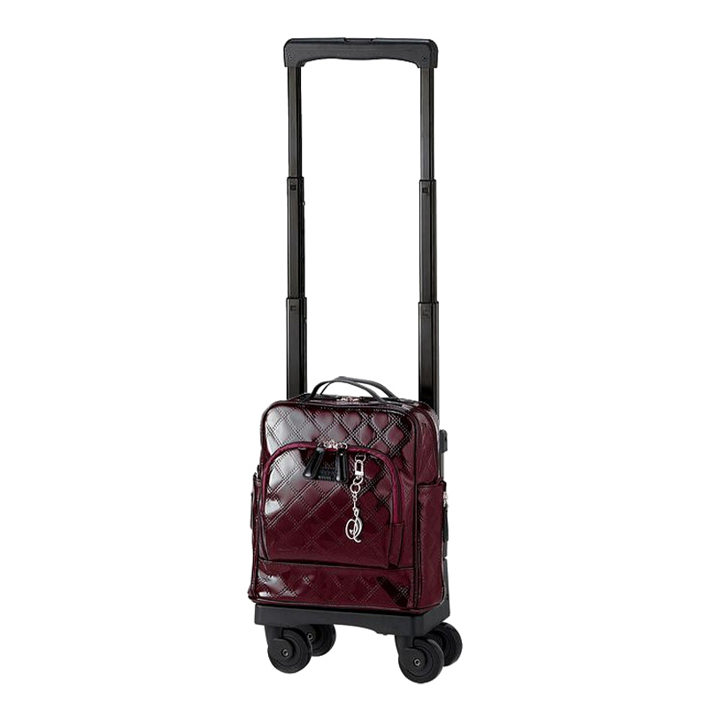 SWANY（スワニー） キャリーバッグ 公式 ショッピングカート キャリー