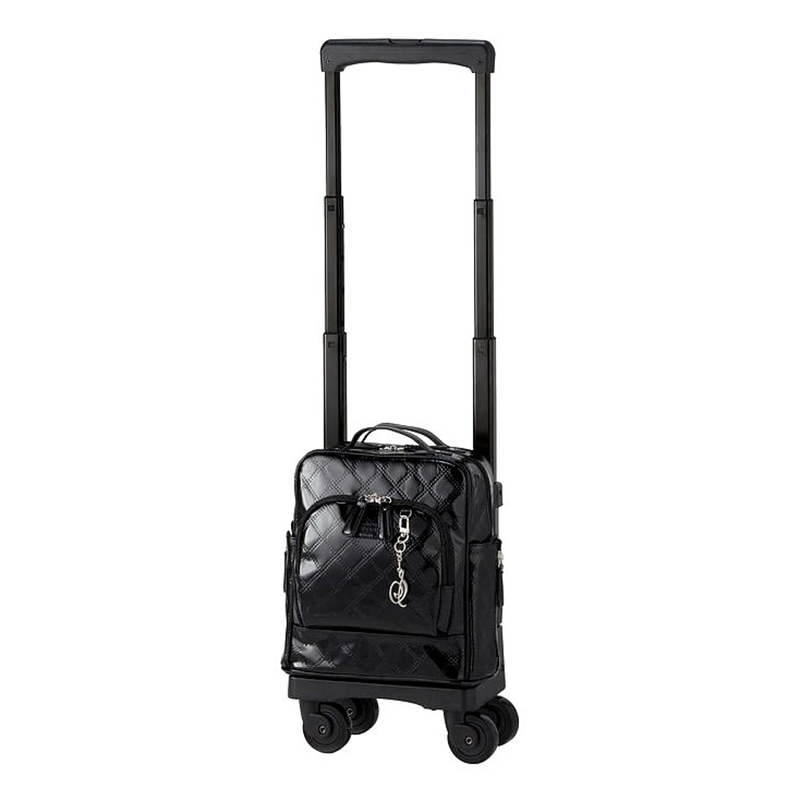 SWANY（スワニー） キャリーバッグ 公式 ショッピングカート キャリー