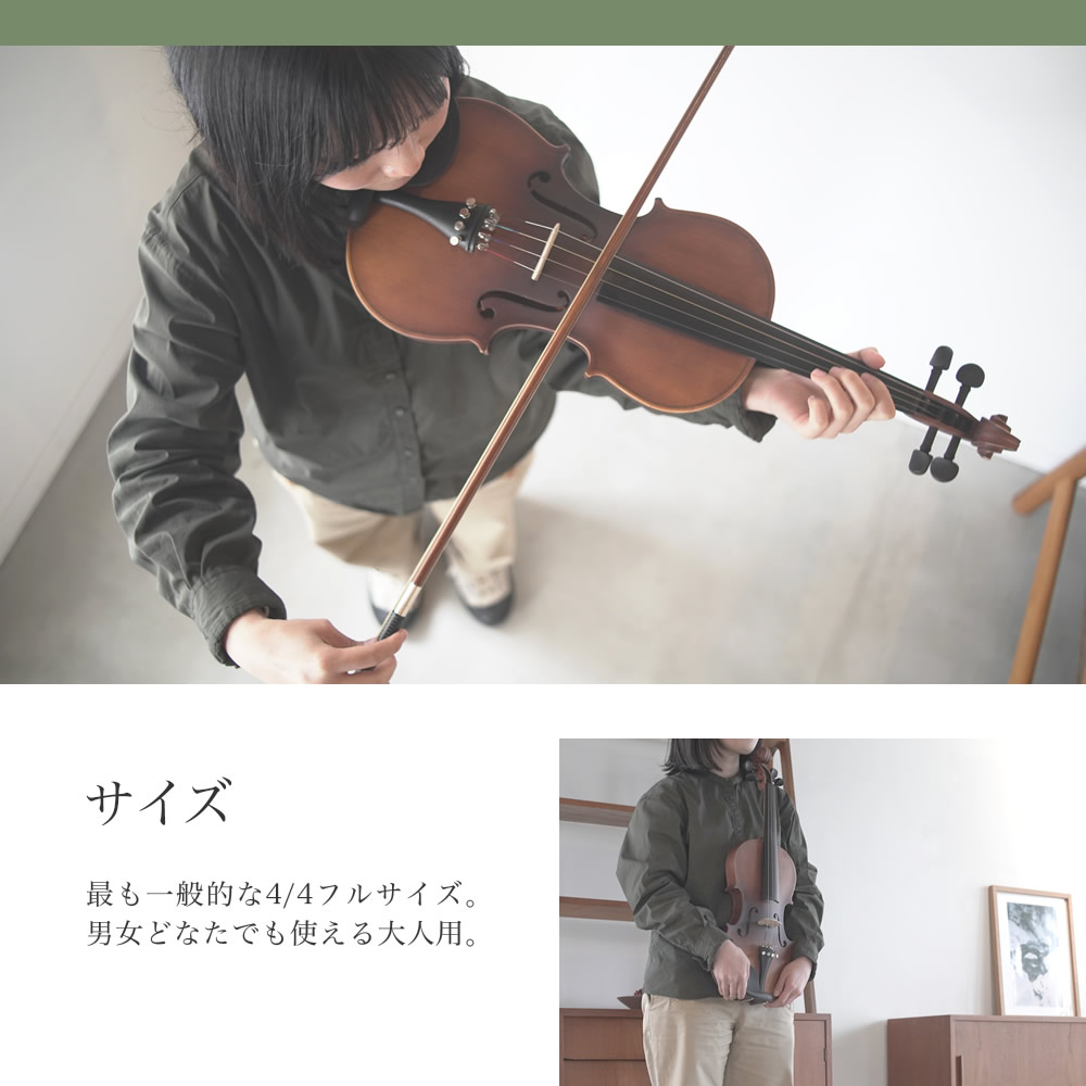 バイオリン 初心者セット Hallstatt V-12 〔ヴァイオリン 入門