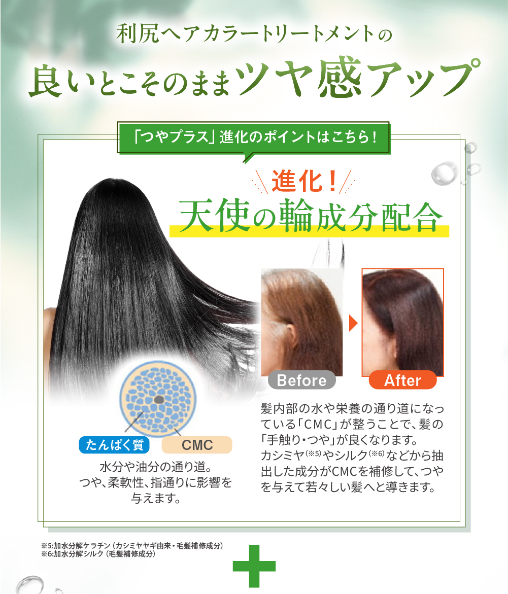 利尻 利尻ヘアカラートリートメント つやプラス 2本セット 150g 無添加