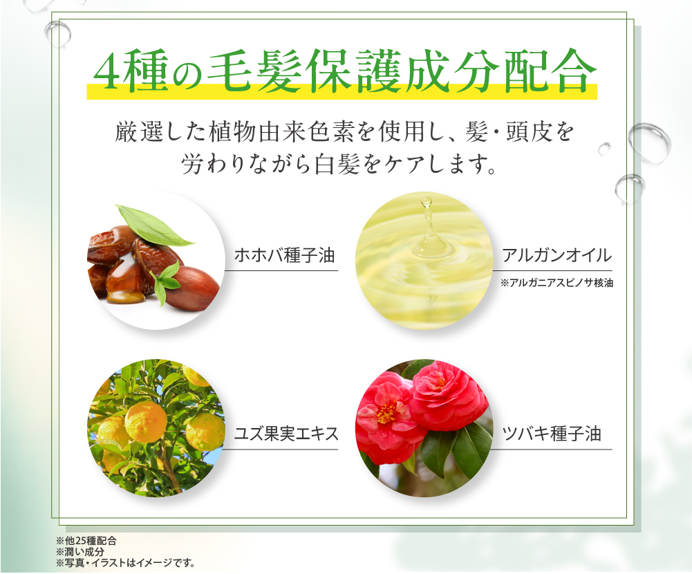 利尻 利尻ヘアカラートリートメント つやプラス 2本セット 150g 無添加