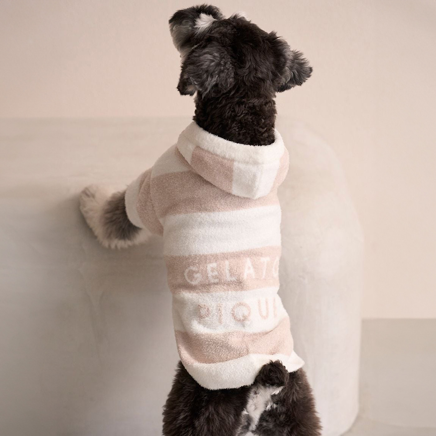 gelato pique（ジェラートピケ） CAT&DOG スムーズィーXLサイズ2