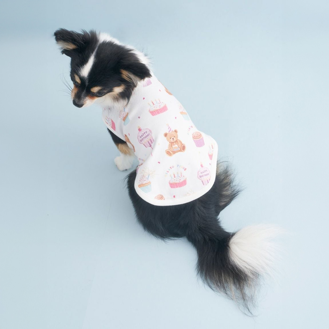 gelato pique（ジェラートピケ） CAT&DOG Birthday バースデー柄プル