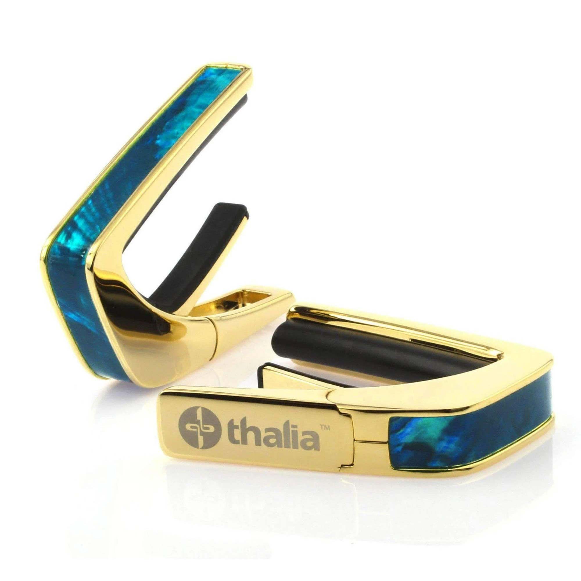 2025年楽器店大賞 大賞受賞 Thalia Capos タリアカポ Teal Angel Wing