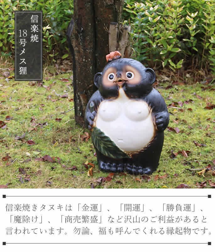 信楽焼 18号メス狸 たぬき タヌキ 開運 縁起物 可愛い 陶器 商売繁盛