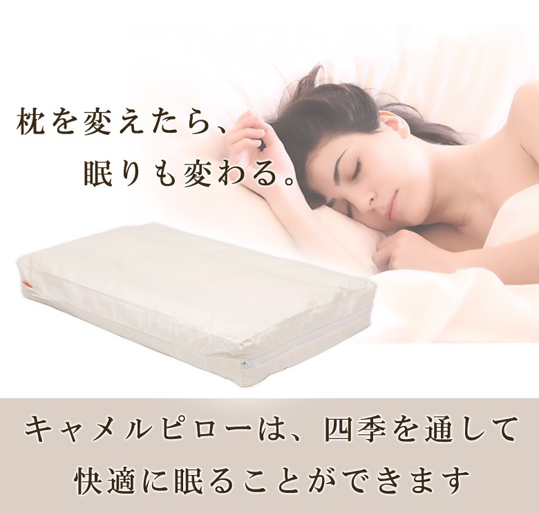 枕 イワタ キャメル枕 43×63cm 高さ3cm 日本製 キャメルピロー 国産