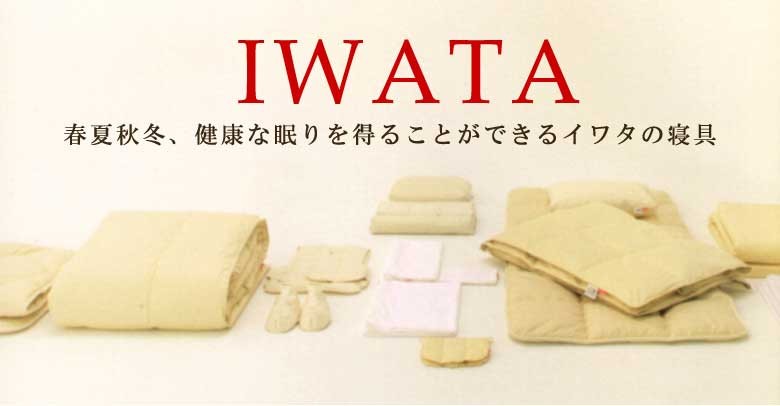 枕 イワタ キャメル枕 43×63cm 高さ3cm 日本製 キャメルピロー 国産