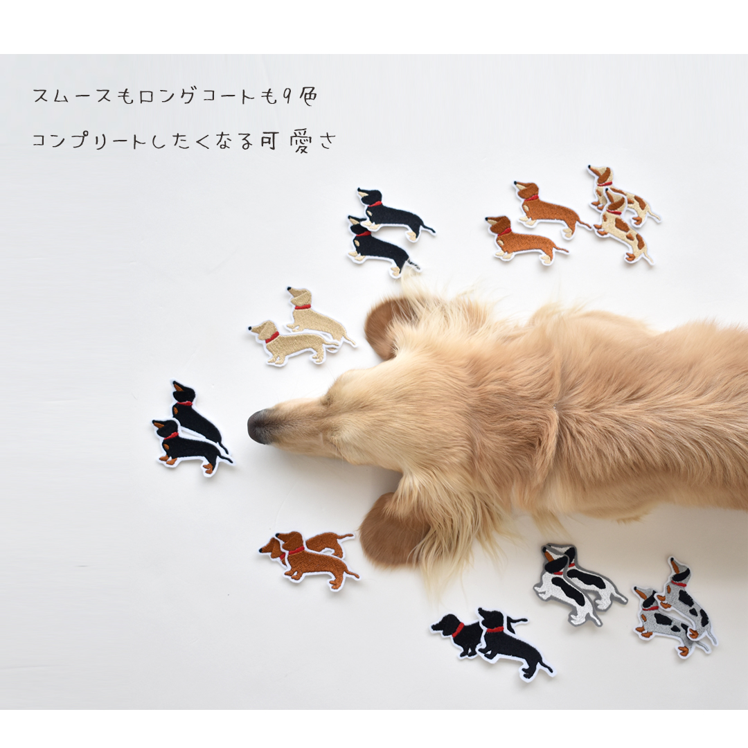 ダックスフント 刺繍 ワッペン アップリケ うちの子ワッペン ダックス