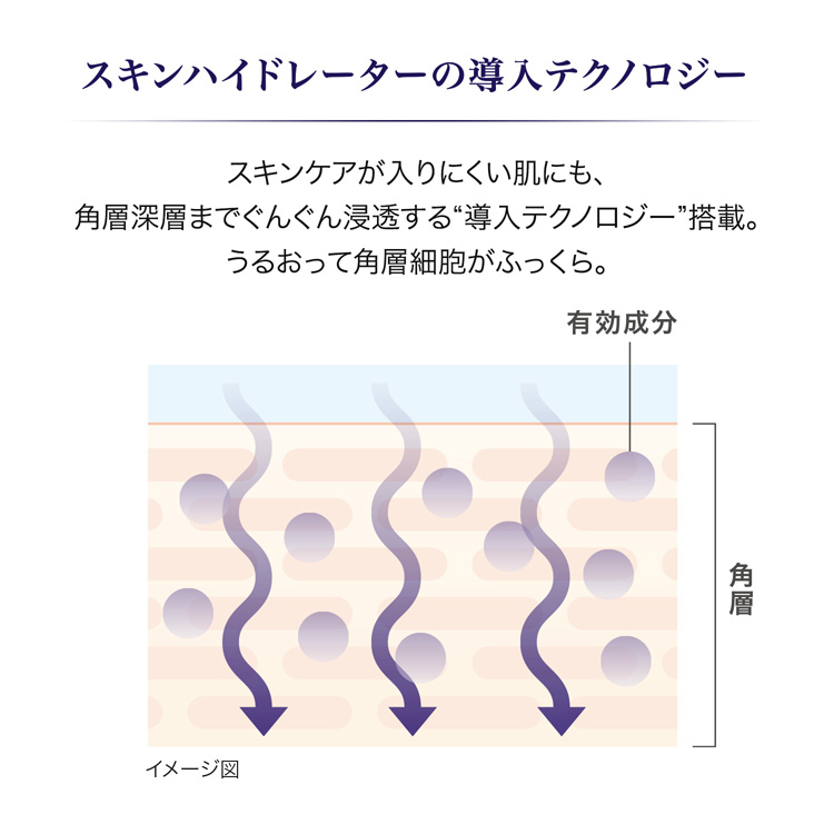 リバイタル スキンハイドレーター (レフィル) ( 135ml )/ リバイタル