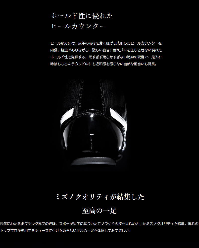 MIZUNO（ミズノ） ボクシングシューズ メンズ レディース 21GA231012