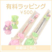 SWIX（スウィックス） スキーバイス ラジアルスキーバイス T0149-50