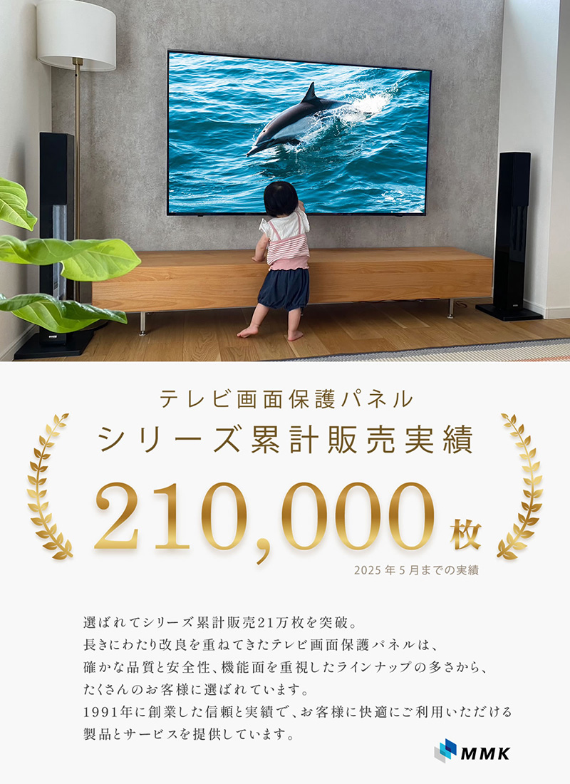 液晶テレビ保護パネル クリアパネルベルト付 43型 43インチ 液晶テレビ