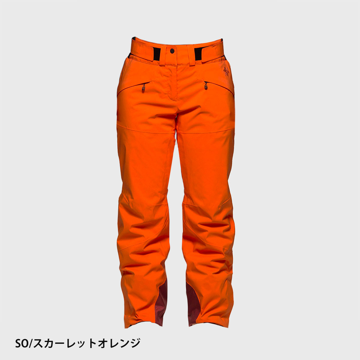 GOLDWIN（ゴールドウイン） スキーウェア スキーパンツ レディース