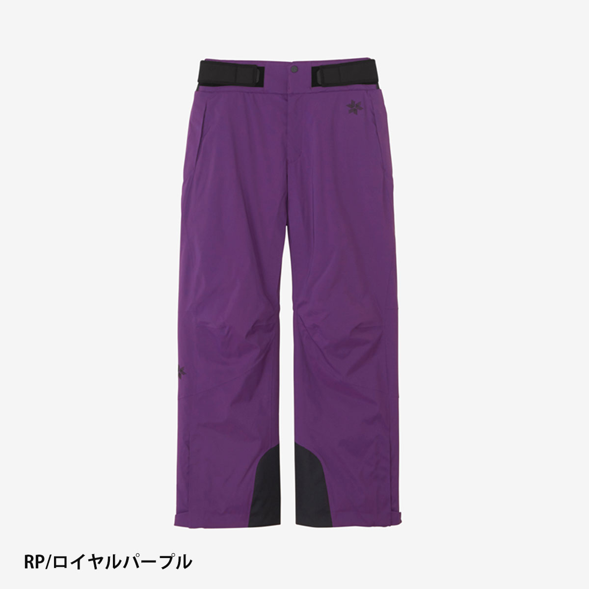 GOLDWIN（ゴールドウイン） 【エントリーでP最大17倍！27日〜】スキー