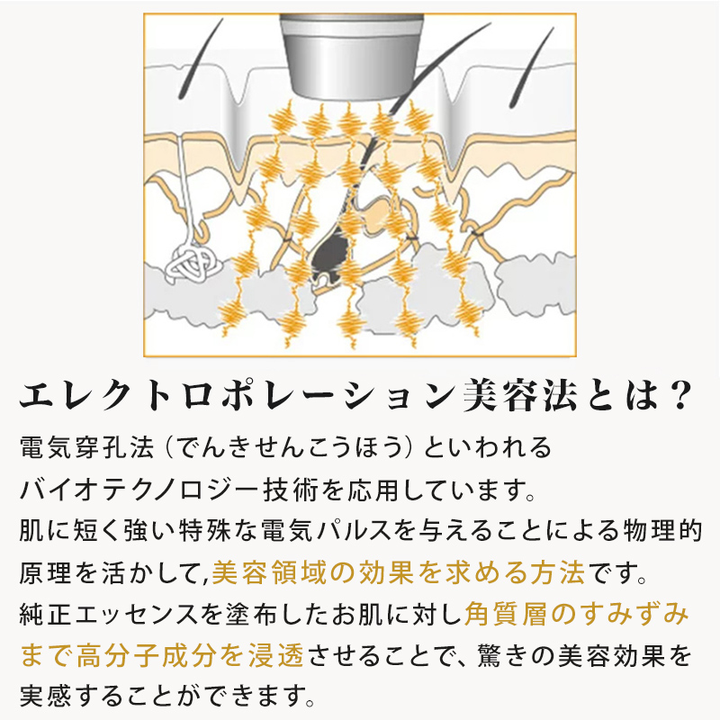 スカルプケア美容器 頭皮ケア FGF-7 女性 男性 エレクトロポーション