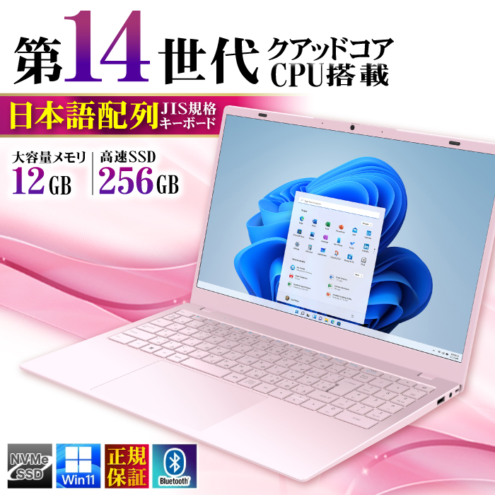PASOUL ノートパソコン 訳ありパソコン 9世代 CPU N4020 14型 8GB SSD