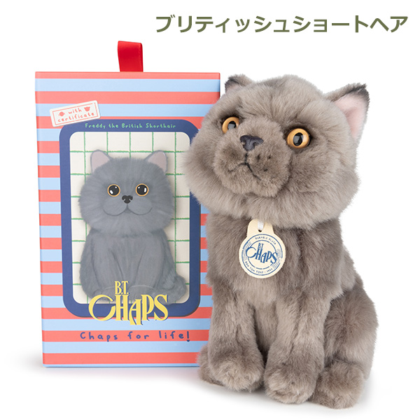 ぬいぐるみ 猫 犬 ギフト ボックス リアル 小さい Sサイズ おすわり