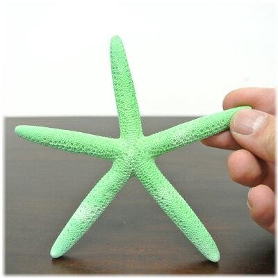 ヒトデ 置物 グリーン)ハワイアン雑貨 置物 ハワイ 雑貨 ハワイアン