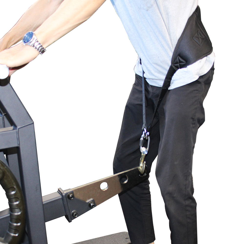 WILD FIT（ワイルドフィット） ベルトスクワット / 送料無料 ジム 自宅