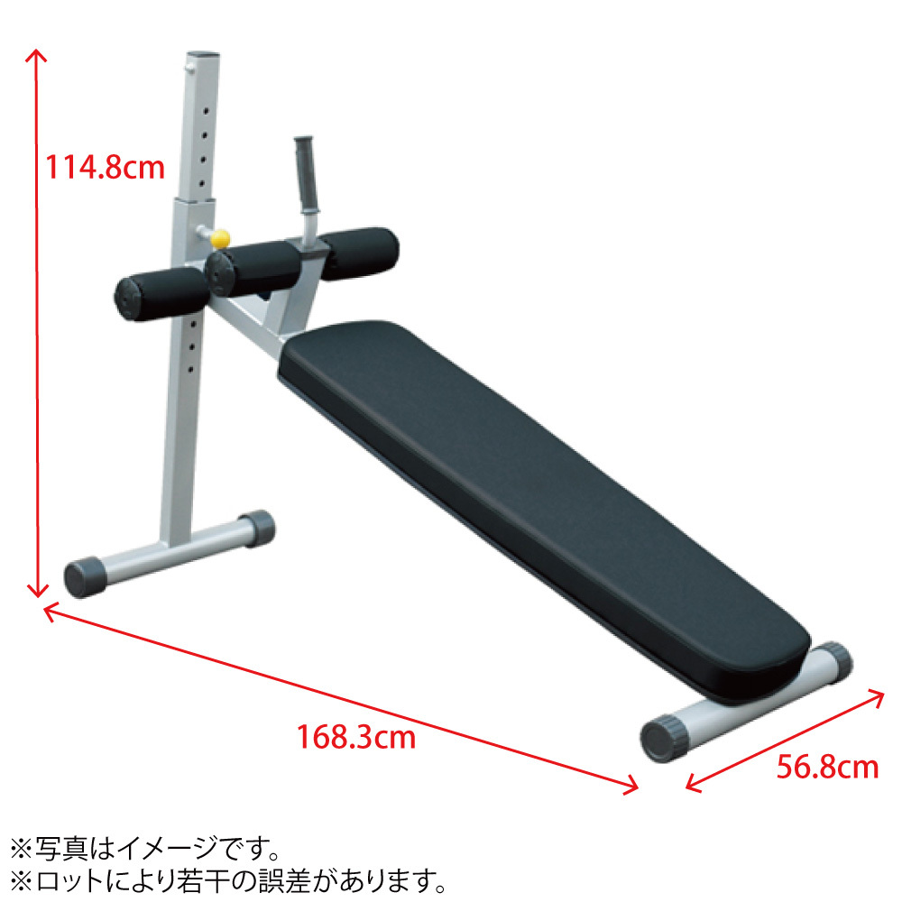 WILD FIT（ワイルドフィット） アジャスタブルアブドミナルベンチ / 筋