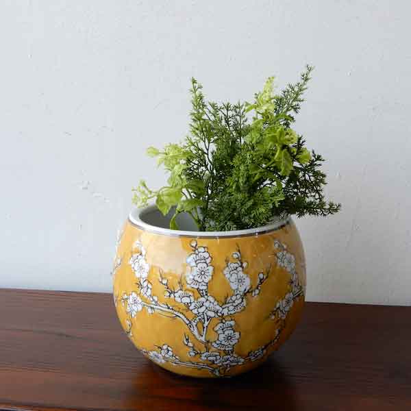 火鉢 小梅/黄色・緑 花器 和モダン 梅 うめ 小花 花 陶器鉢 水鉢 鉢