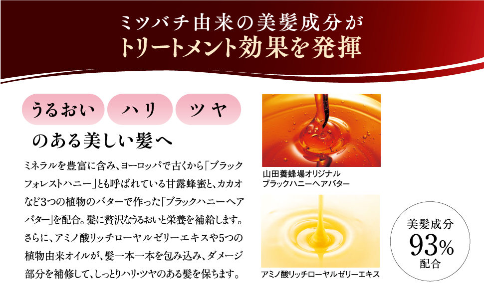 山田養蜂場 RJヘアカラートリートメント ナチュラルブラック210g