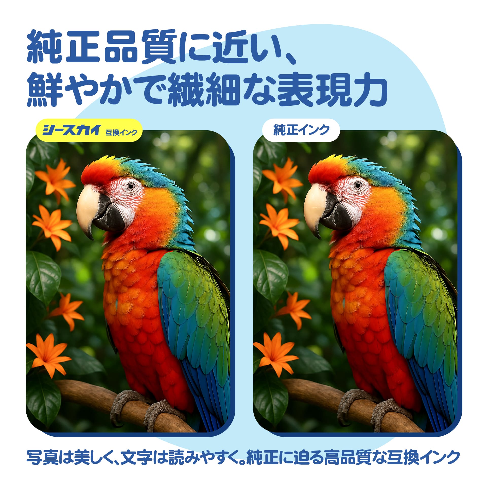 新年クーポン】SS21BK SS21C SS21M SS21Y SS21LC SS21LM 顔料 6色