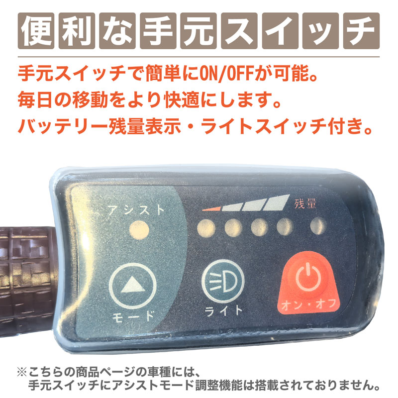 21Technology 電動アシスト三輪自転車 三輪車 電動三輪車 電動アシスト