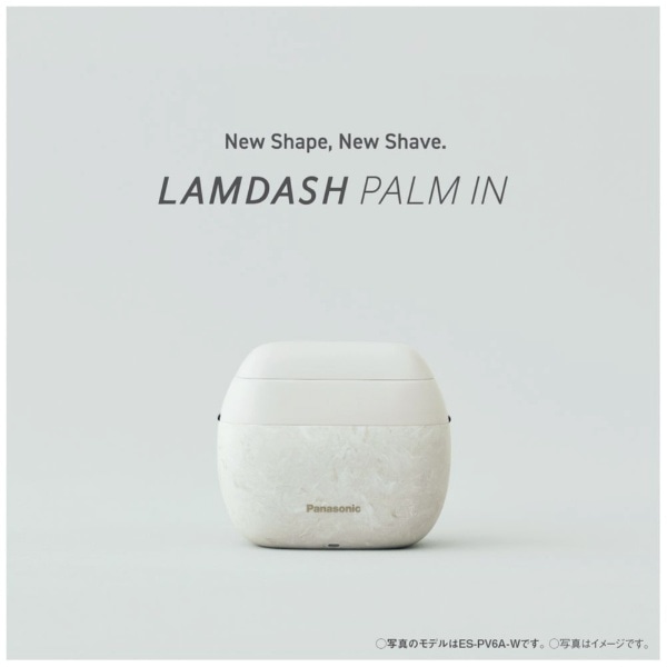 メンズシェーバー ラムダッシュ パームイン スタンダード マット