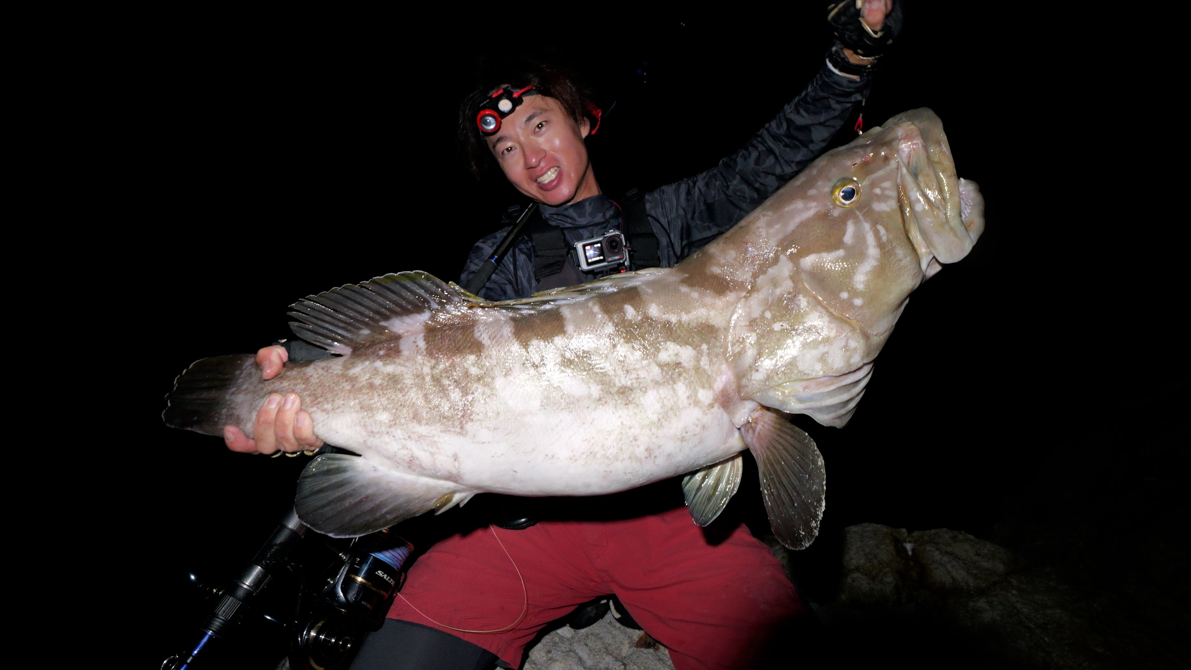 WILD SEEKER 453H-S (ワイルドシーカー453H-S)