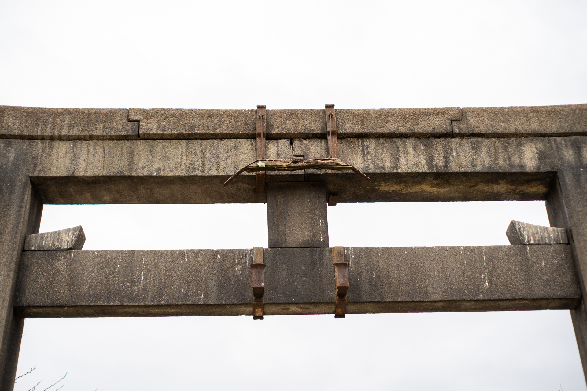 オールドレンズの扉を開く | Shark Skin Man