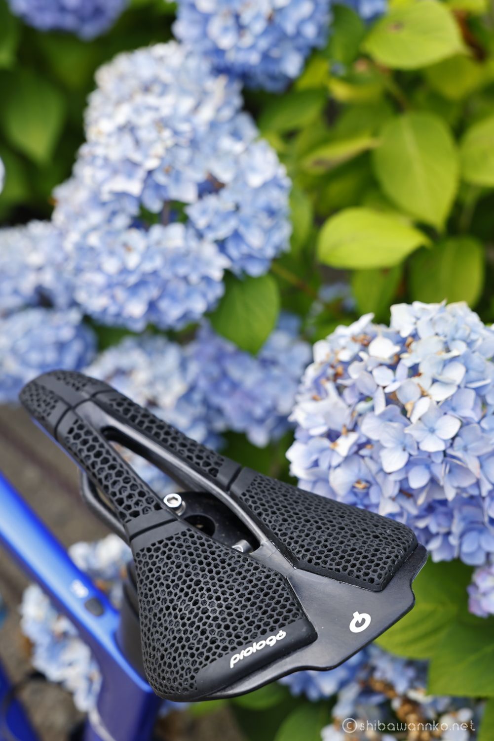 SCRTCH M5 PAS 3DMSS NACK ＋ レックマウントアダプター付 SCRTCH M5