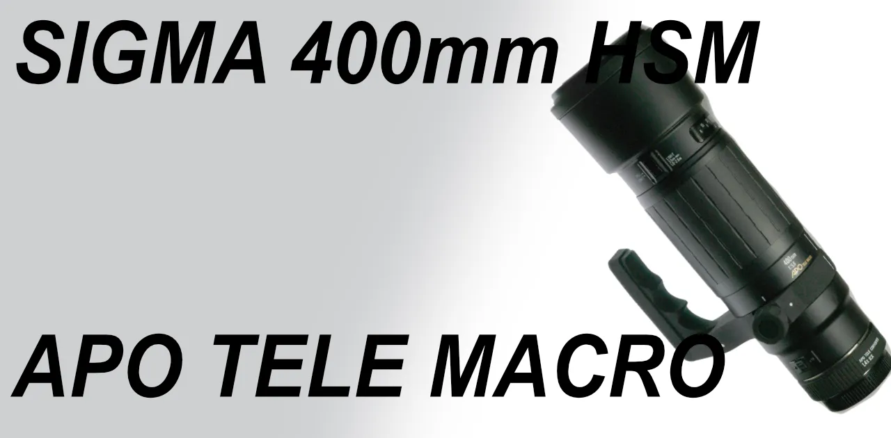 安価な望遠 SIGMA AF APO TELE MACRO 400mm F5.6 HSM – Shige's hobby