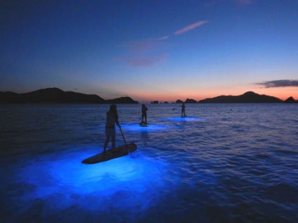 ナイトSUP｜1.5時間コース】慶良間諸島・座間味島で唯一のSUP専門店