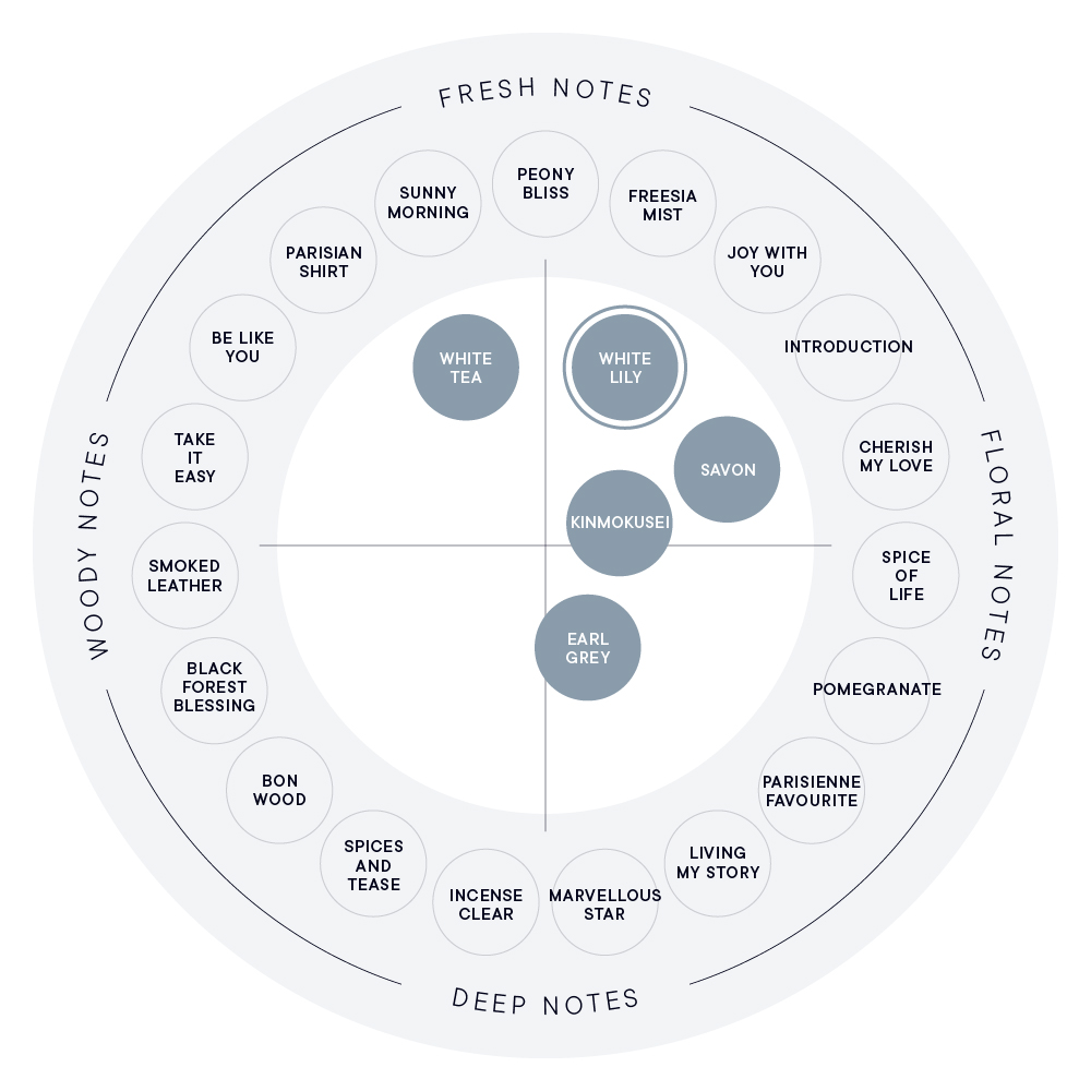 ホワイトリリー フレグランスディフューザー リキッド | SHIRO