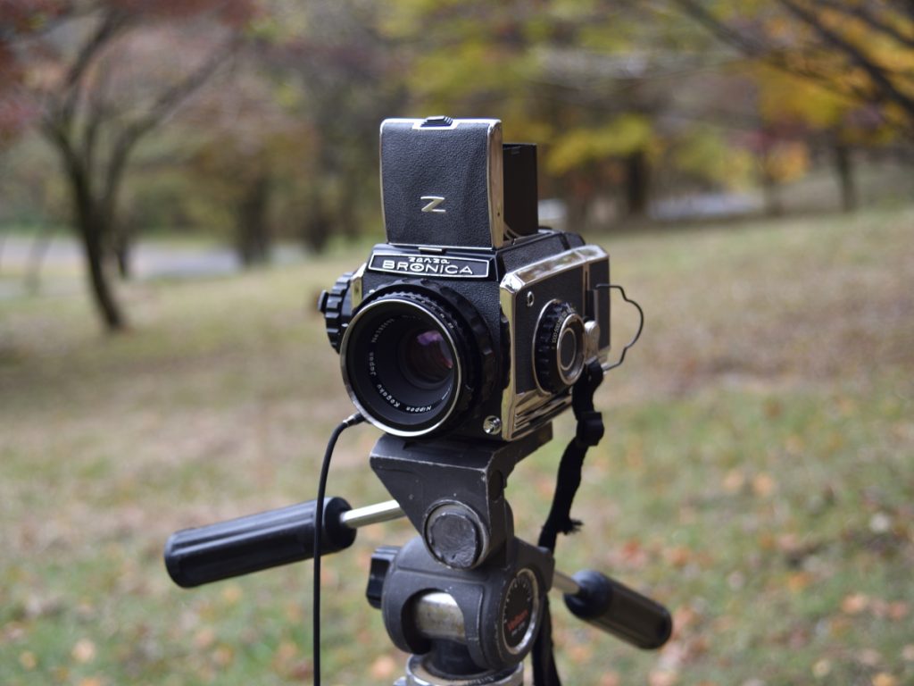 ゼンザブロニカ S2 購入｜自然環境調査報告