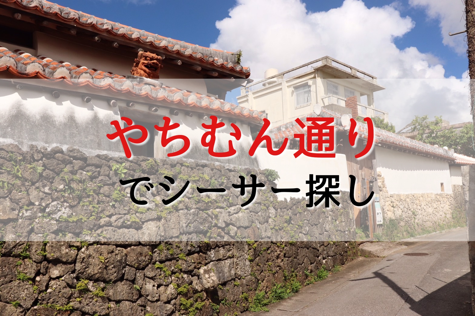 壺屋やちむん通りでシーサー探し！お土産におすすめのシーサー屋さんも