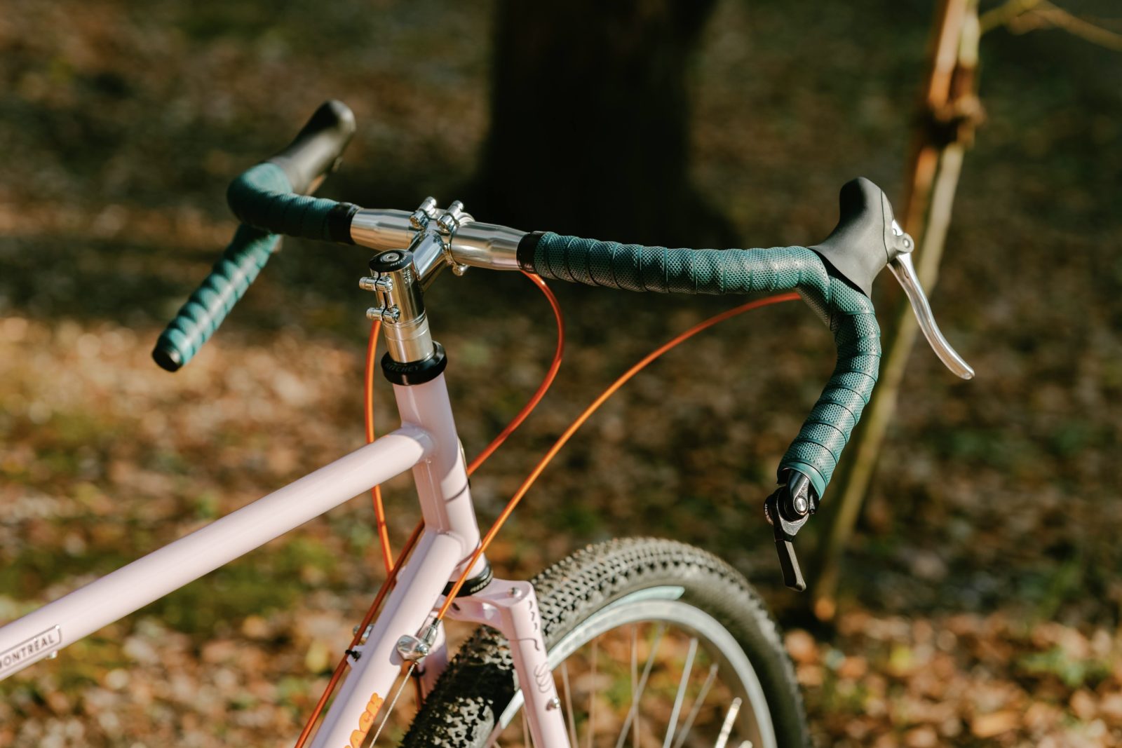 All for your Smile – To Smile Bar is back | SimWorks