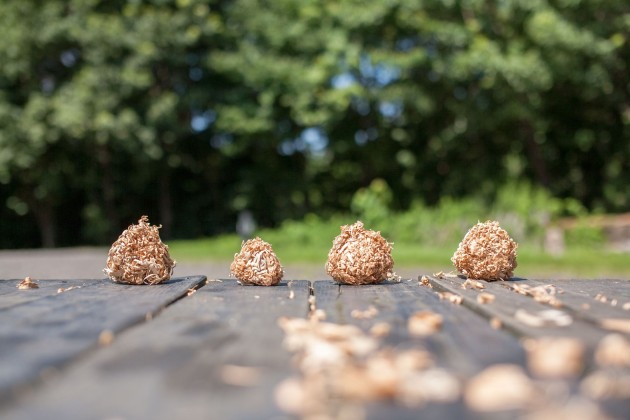 ボケ味最高！やっぱりレンズは単焦点！ | Simplife+