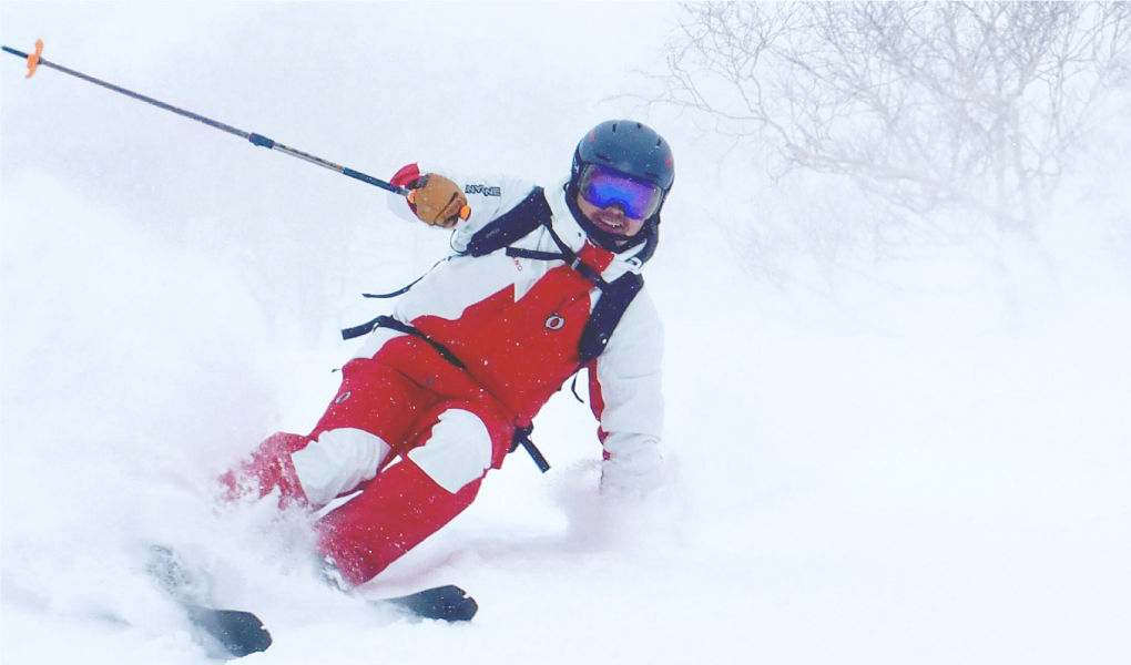 スキーストック バックカントリー【FAST BC カーボン】スキーポール