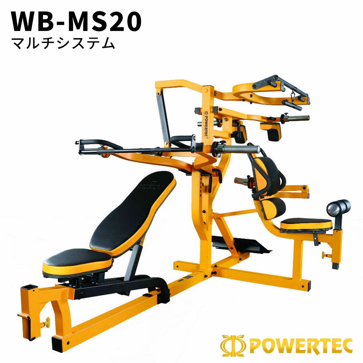 000000025113-01-l.jpg?t=