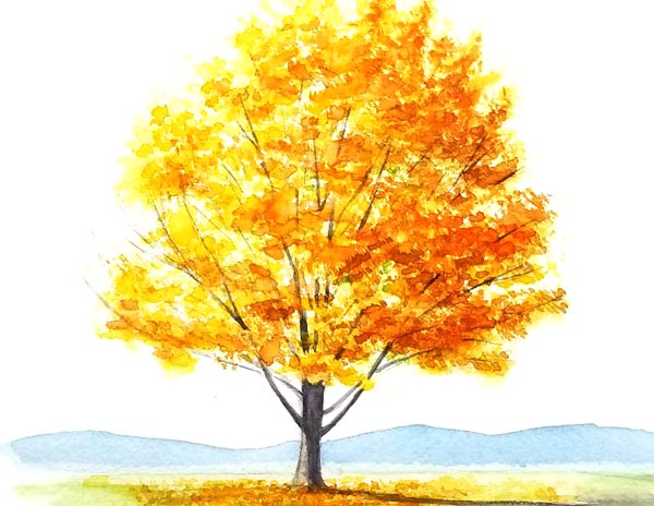 透明水彩で描く秋の木 - 横浜のアートスタジオ／Sissi（シシ）