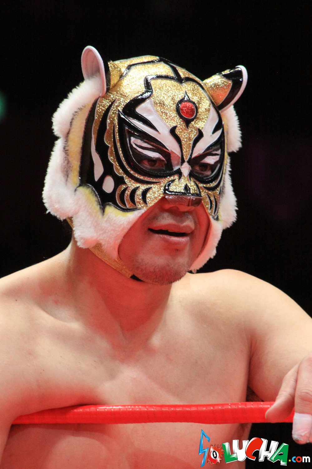 SOLUCHA.com / 【AAA】3代目タイガーマスク 実使用済マスク