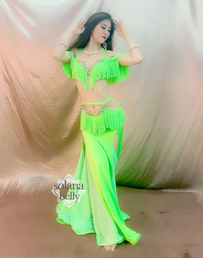 送料無料】 即納 ベリーダンス オリエンタル 衣装 ベリーダンス衣装