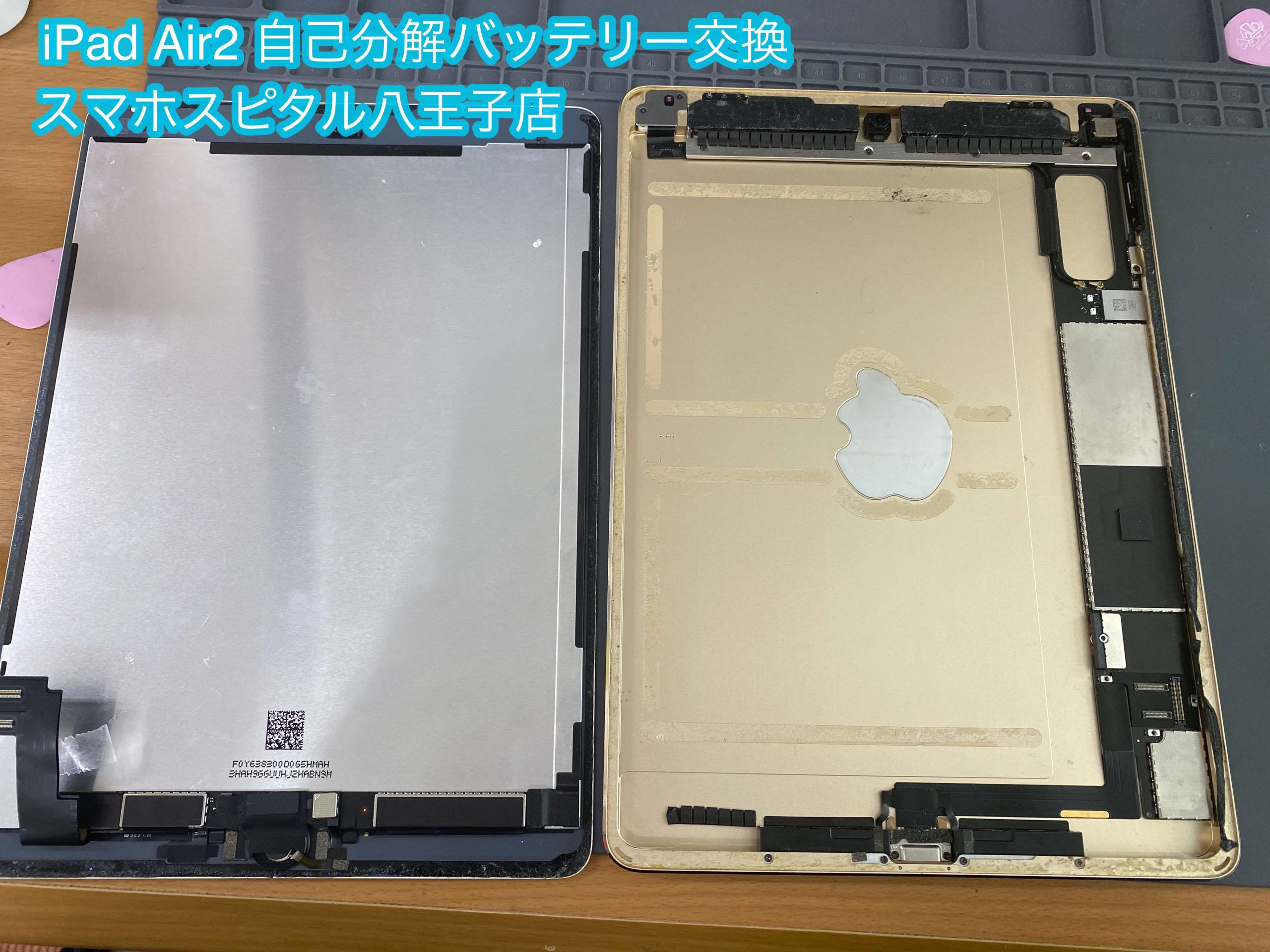 iPad Air2】自己分解で電池交換しようとして途中で諦めてしまった